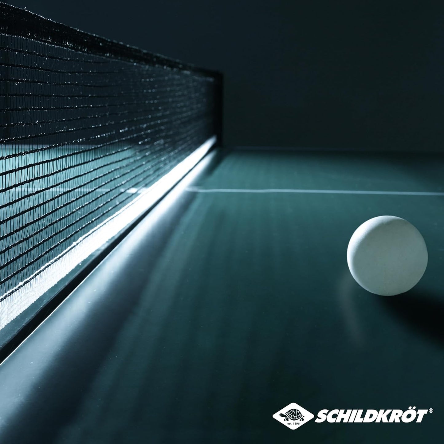 Schildkrot Champion TT Balls
