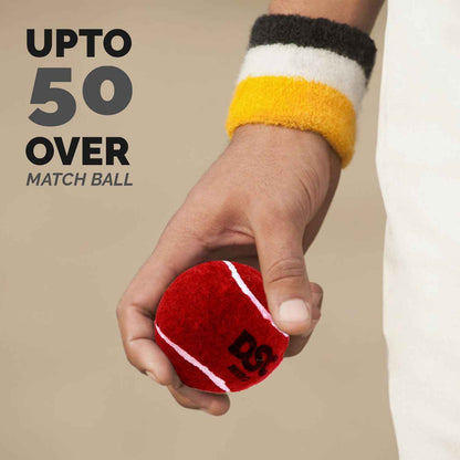 DSC Nitro Heavy Cricket Ball