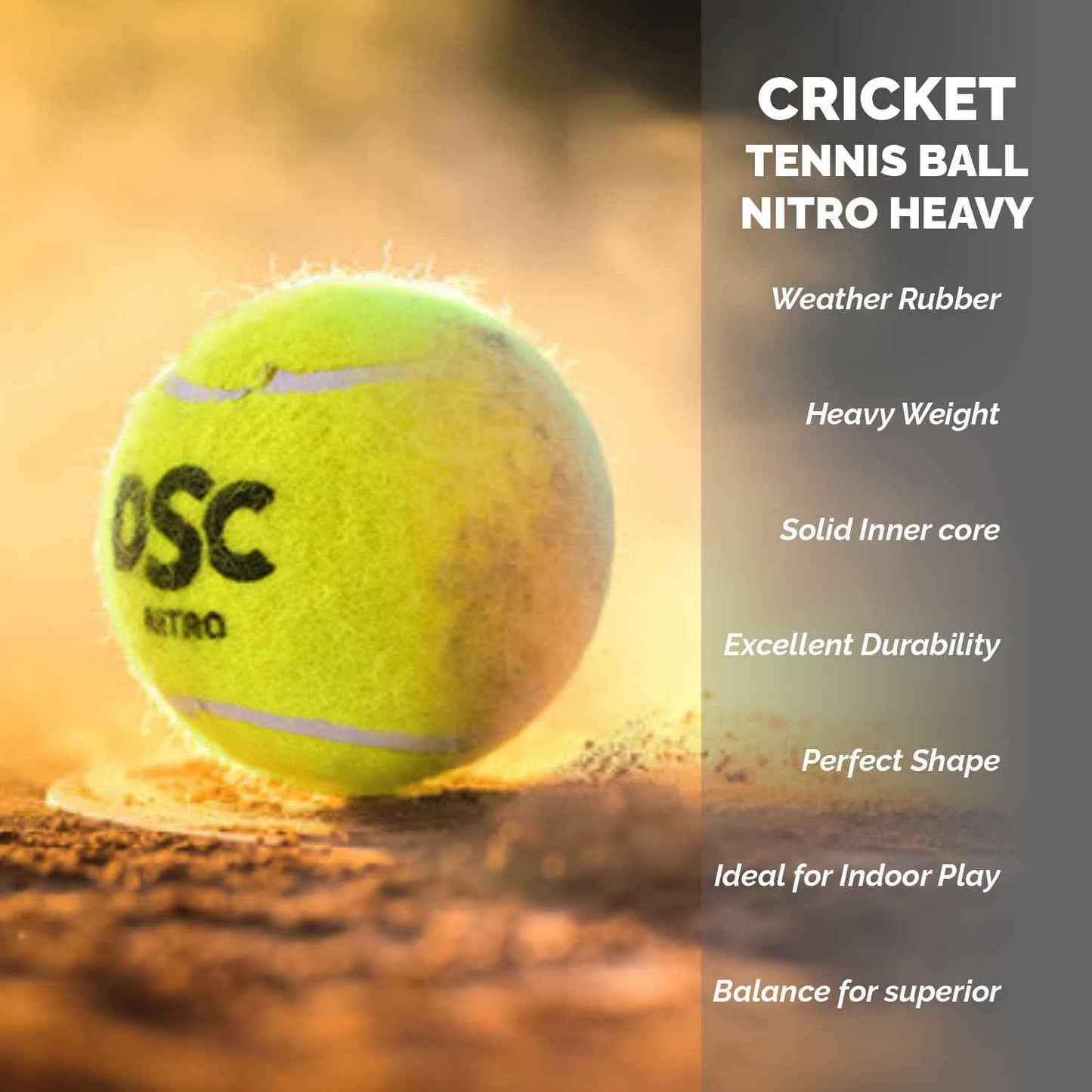 DSC Nitro Heavy Cricket Ball