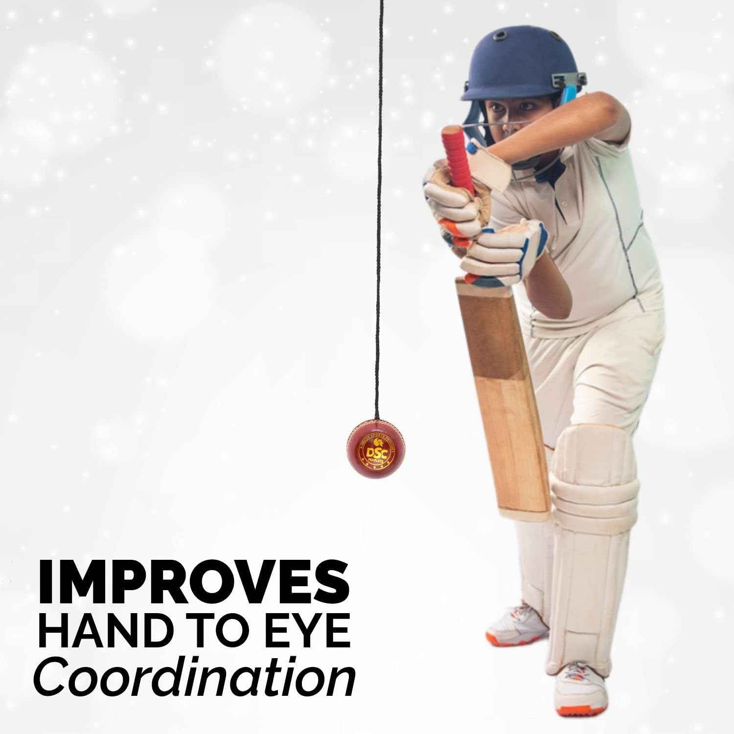 DSC Hanging Leather Cricket Ball