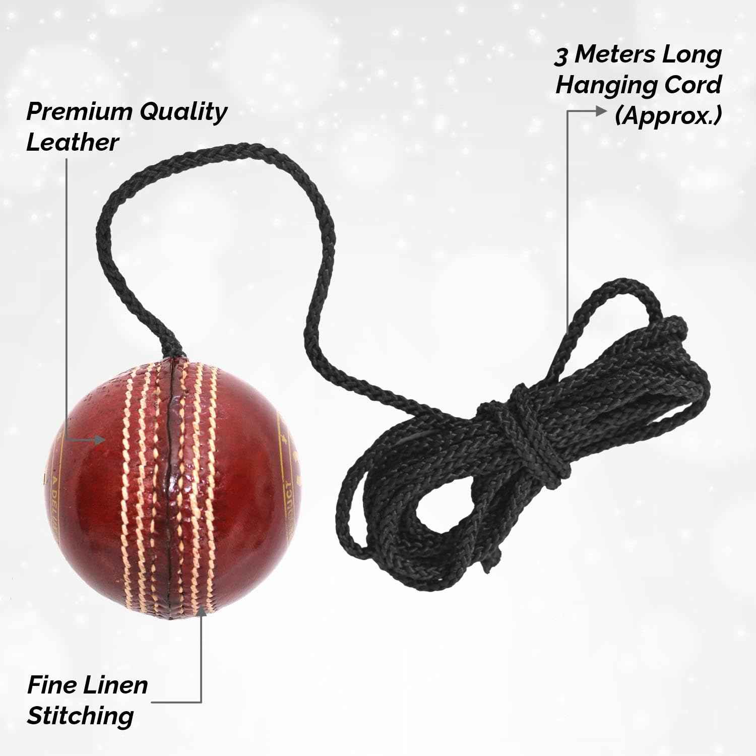 DSC Hanging Leather Cricket Ball