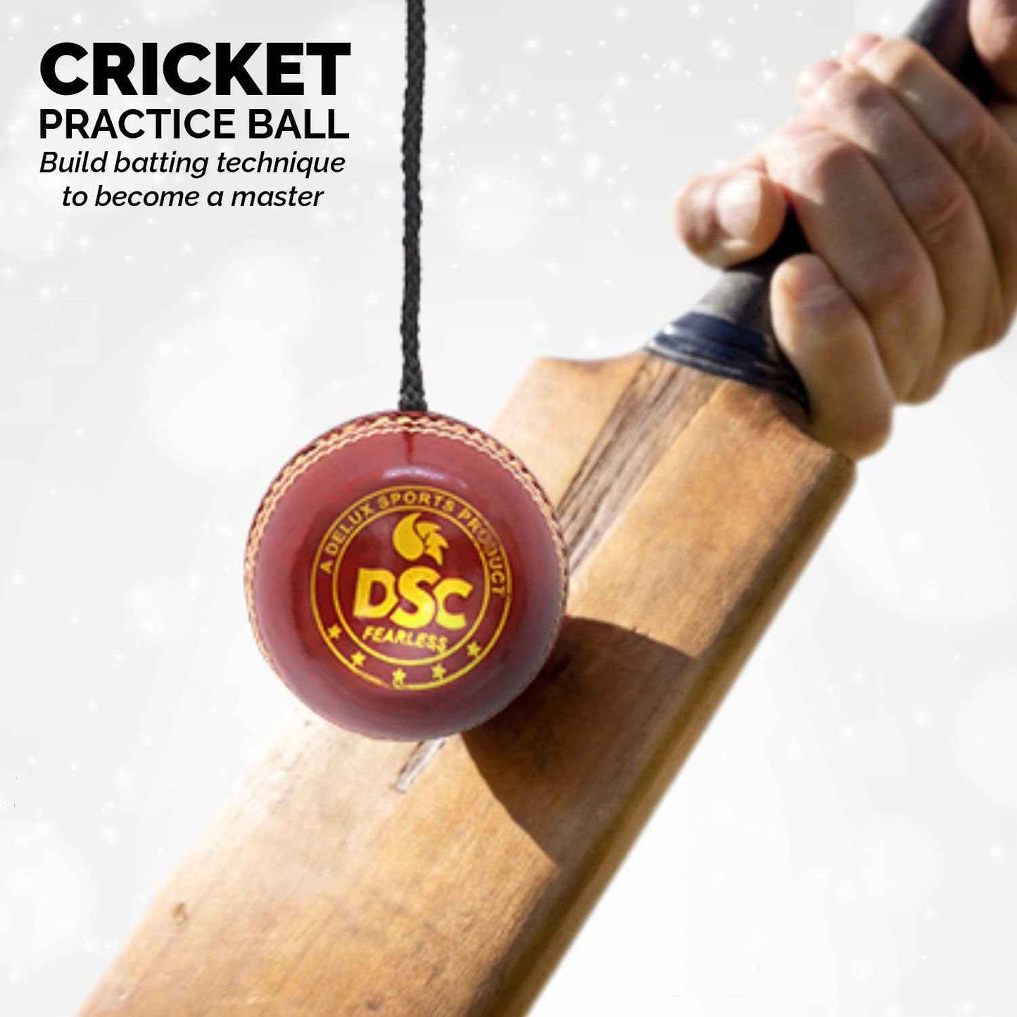DSC Hanging Leather Cricket Ball