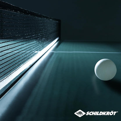 Schildkrot Champion TT Balls