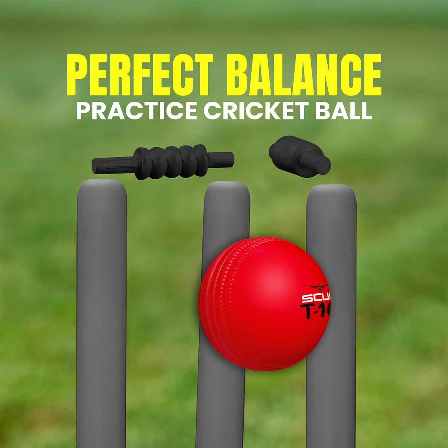 Scud T10 Cricket Ball