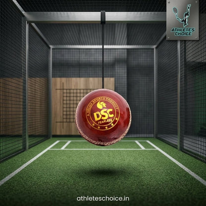DSC Hanging Leather Cricket Ball